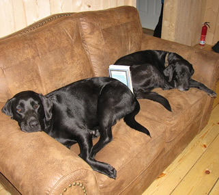 Our two bookends!